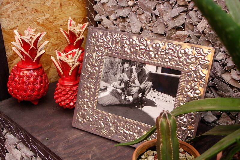 La Casa Azul de Frida Kahlo celebra la amistad de ella y Juan O'Gorman con un altar de Día de Muertos