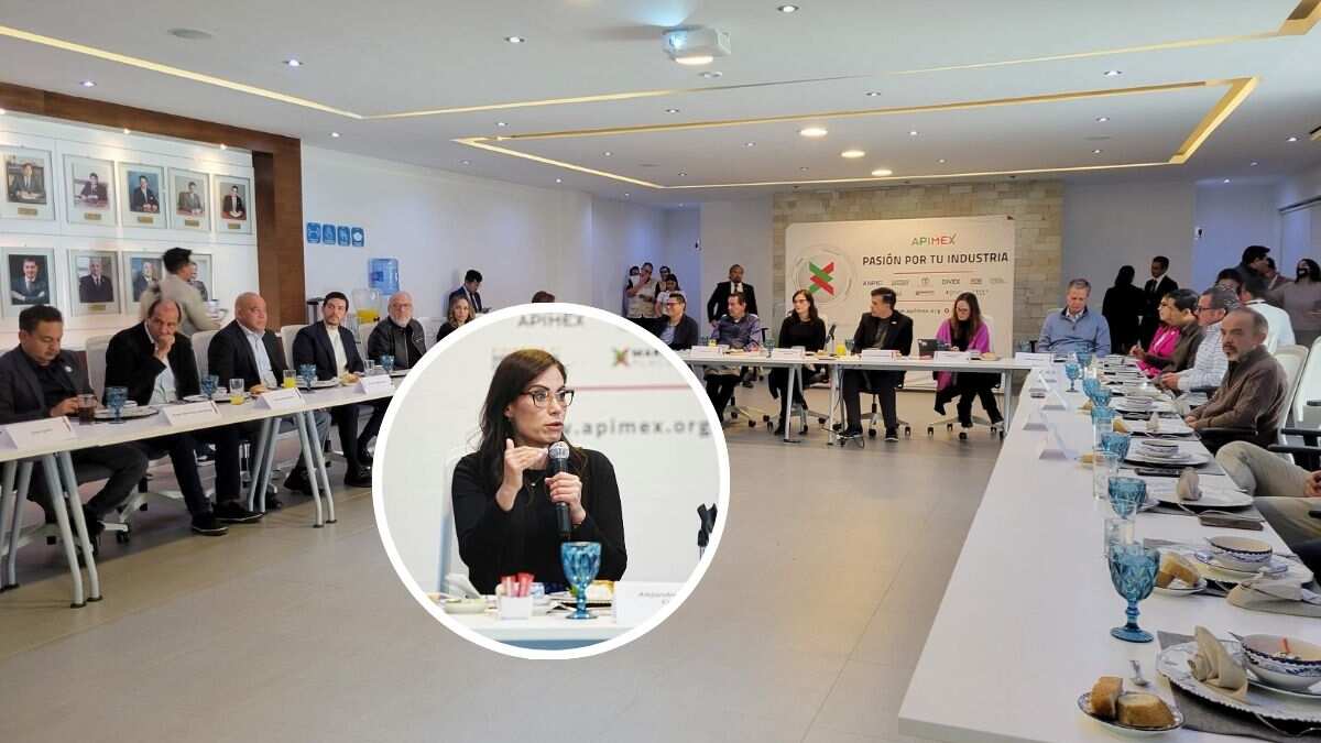 APIMEX es uno de los principales órganos empresariales de GTO.