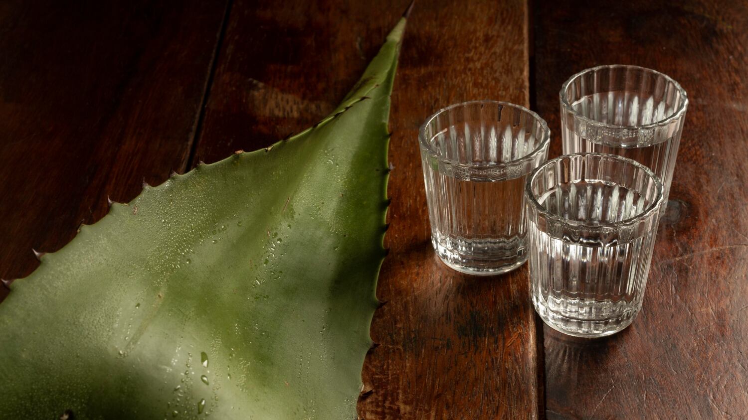 Disfruta casas mezcaleras, convive con productores y descubre esta milenaria bebida ancestral