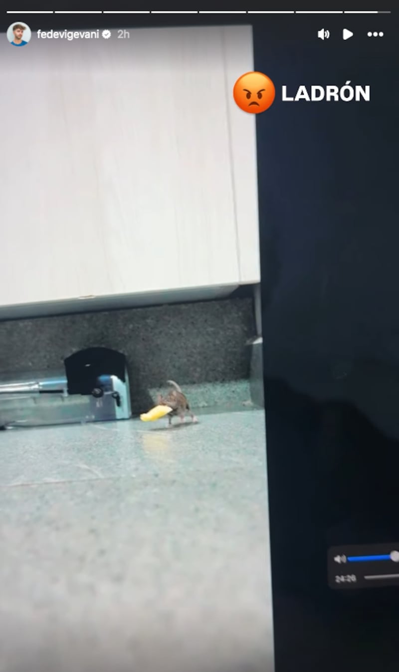 Historias de Fede Vigevani en Instagram