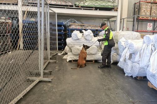 Decomisan 75 rollos con fentanilo en el Aeropuerto Internacional Felipe Ángeles