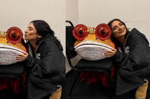 Ana Brenda Contreras sorprendió a sus fans revelando el sexo de su bebé