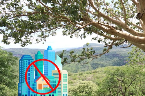 Tres áreas naturales protegidas en Guadalajara en las que está prohibido construir o edificar