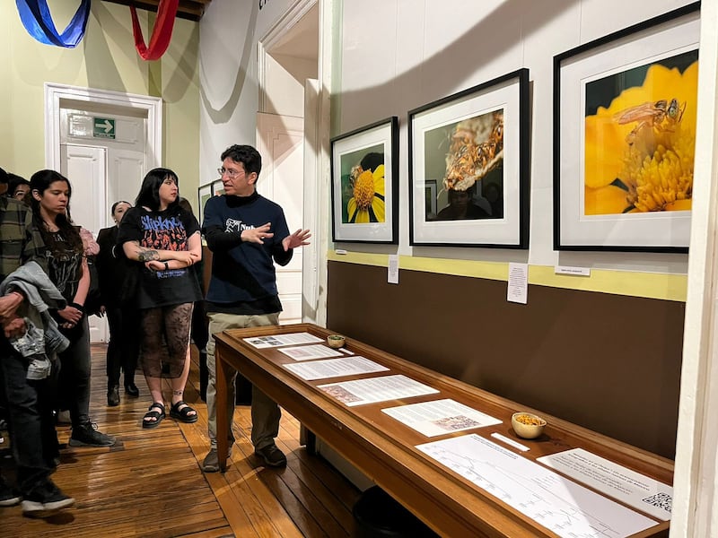 El escritor y fotógrafo Francisco Cubas expone en el Museo del Chocolate su mirada sobre las especies que habitan en el país