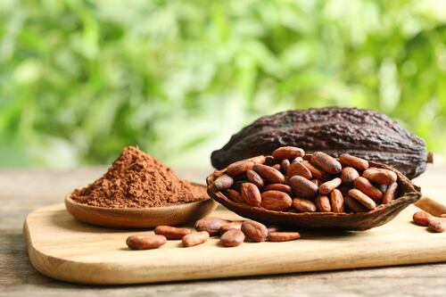 Campaña busca enaltecer al cacao y las tradiciones mexicanas