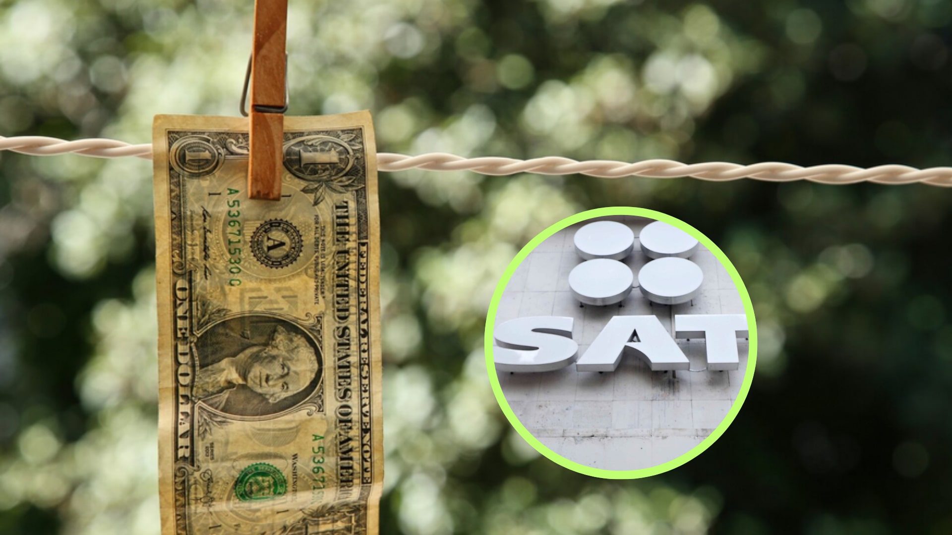 El SAT tiene en la mira 17 actividades vulnerables, desde joyería y arte hasta criptomonedas y bienes raíces: ¡evita sanciones!