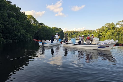 ¿Qué ocurre con el derrame en el Golfo? Pemex defiende operaciones de limpieza