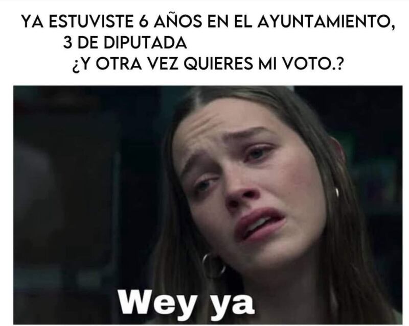 meme electoral 2024