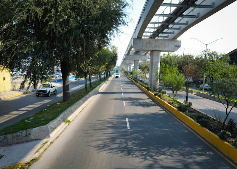 Captación de agua, recarga de mantos freáticos y regreso de fauna urbana son algunos beneficios del arbolado.