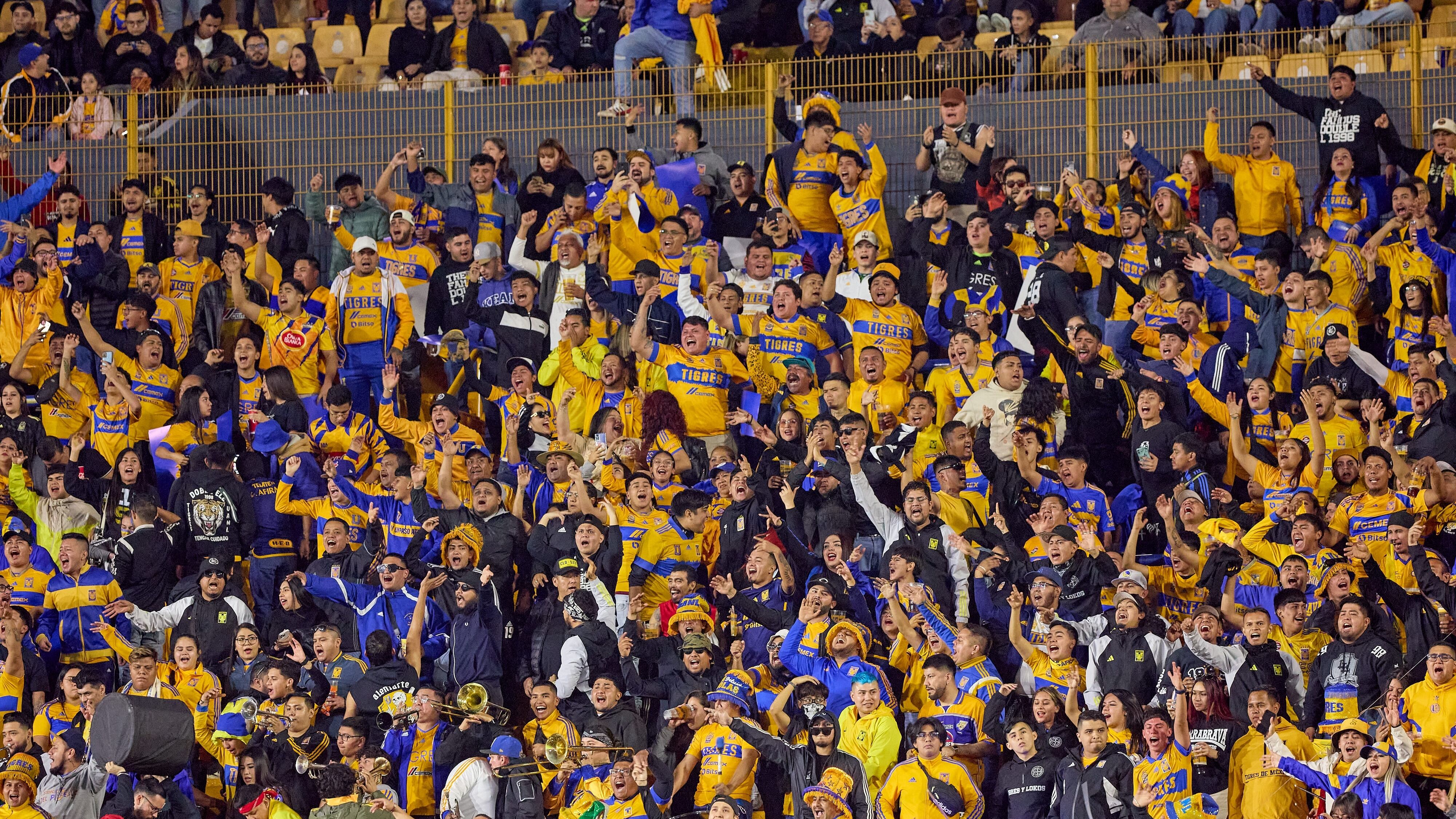 Aficionados de Tigres se pelearon tras la eliminación de su equipo.