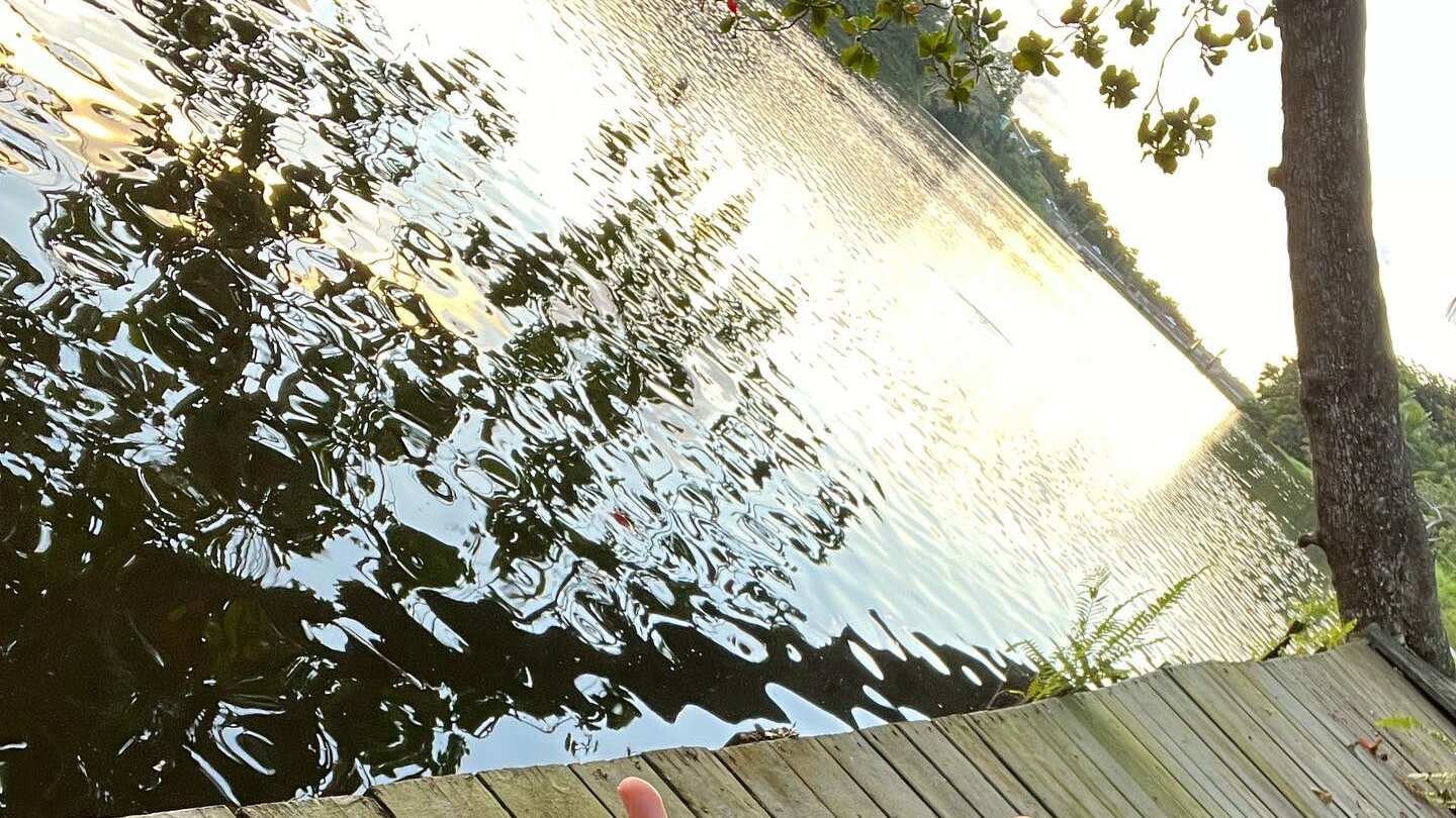 Rauw Alejandro y Rosalía forman parte de una de las parejas más queridas del momento y todos están al pendiente de cómo va la relación.