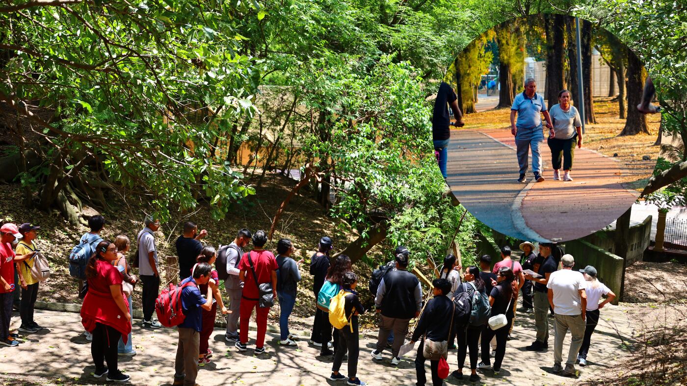 (IMAGEN ILUSTRATIVA) ESPECIAL/ GOBIERNO DE JALISCO