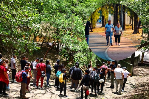 Parques y bosques sumaron casi siete millones de visitantes en 2025