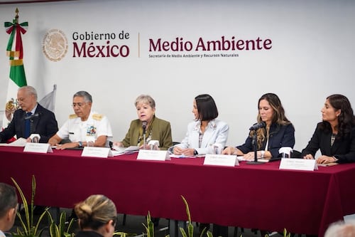 “Se descarta que sea severo”: Semarnat minimiza daños por el derrame de petróleo