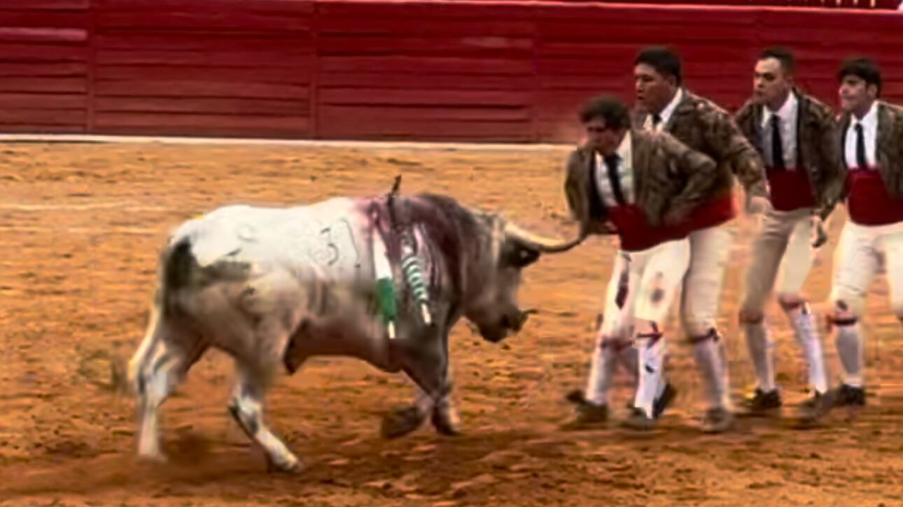 Los forcados también han aparecido en la México