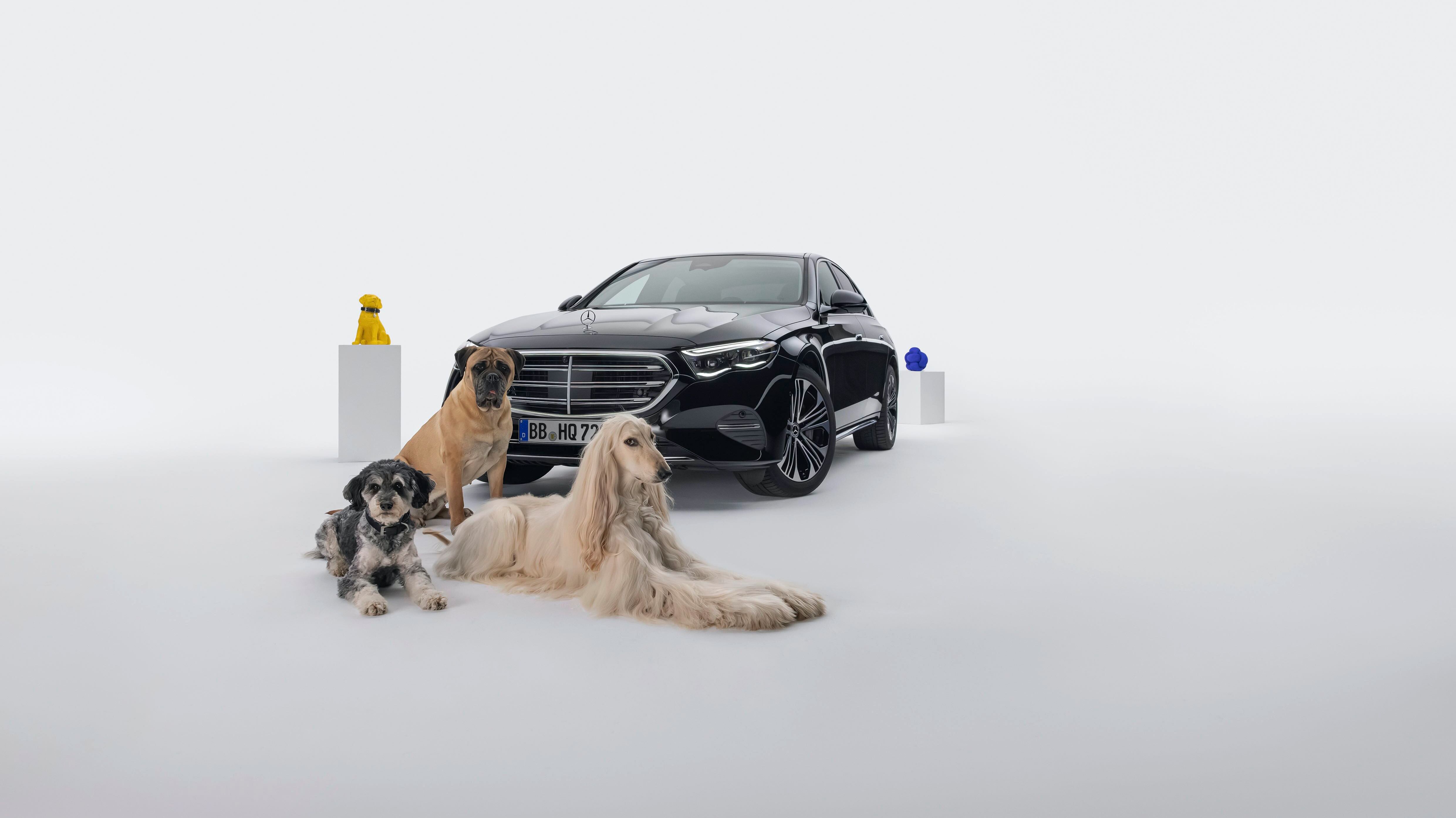 Fotografía de Mercedes-Benz