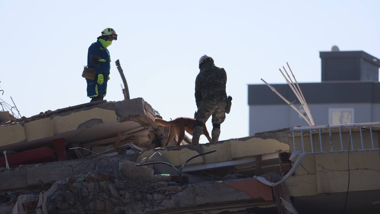 Grupo de rescate “Frida”: Grupo de caninos apoyan en Turquía y Siria tras sismo
