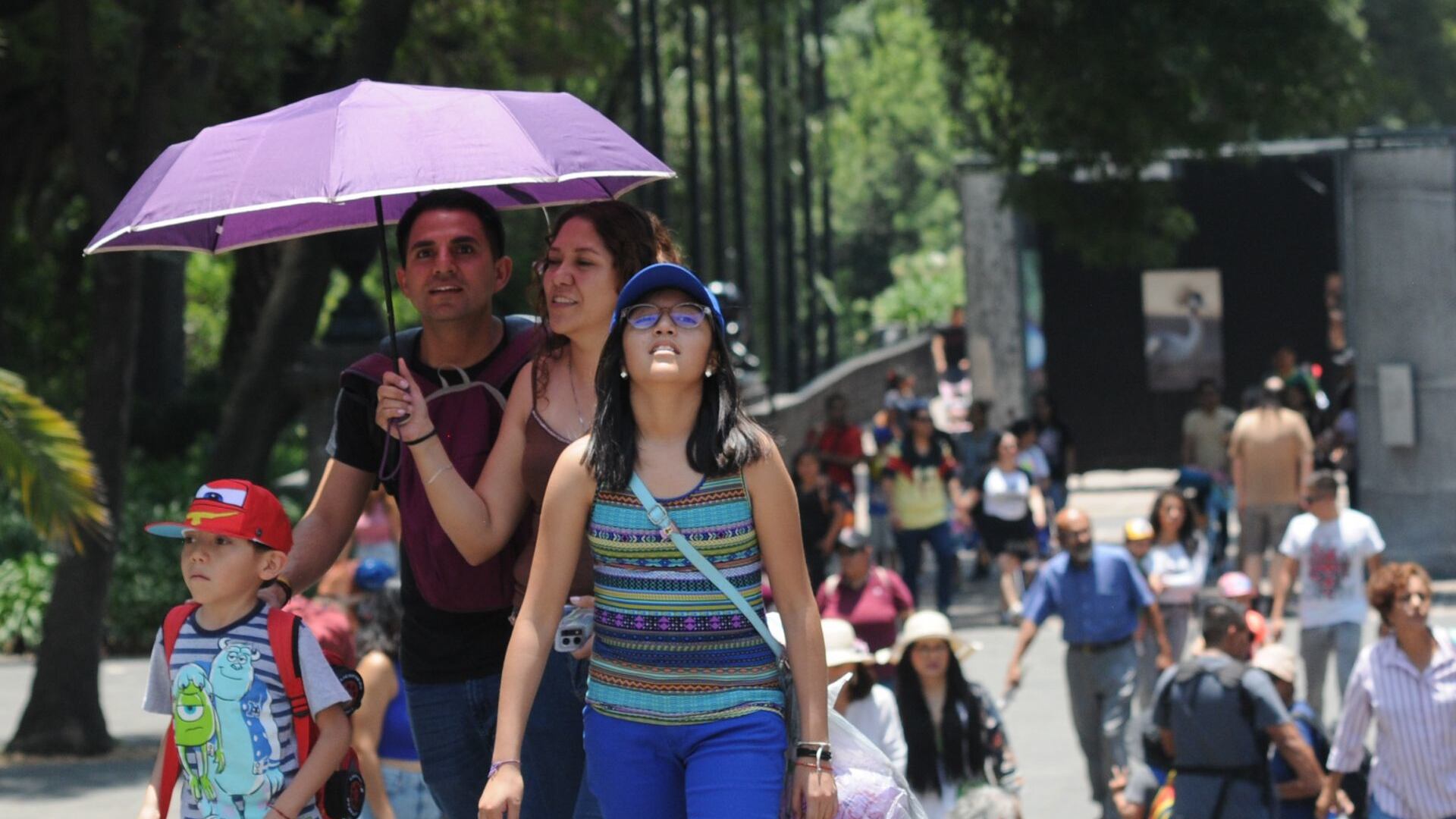 Una familia camina por Chapultepec utilizando una sombrilla para protegerse del sol.