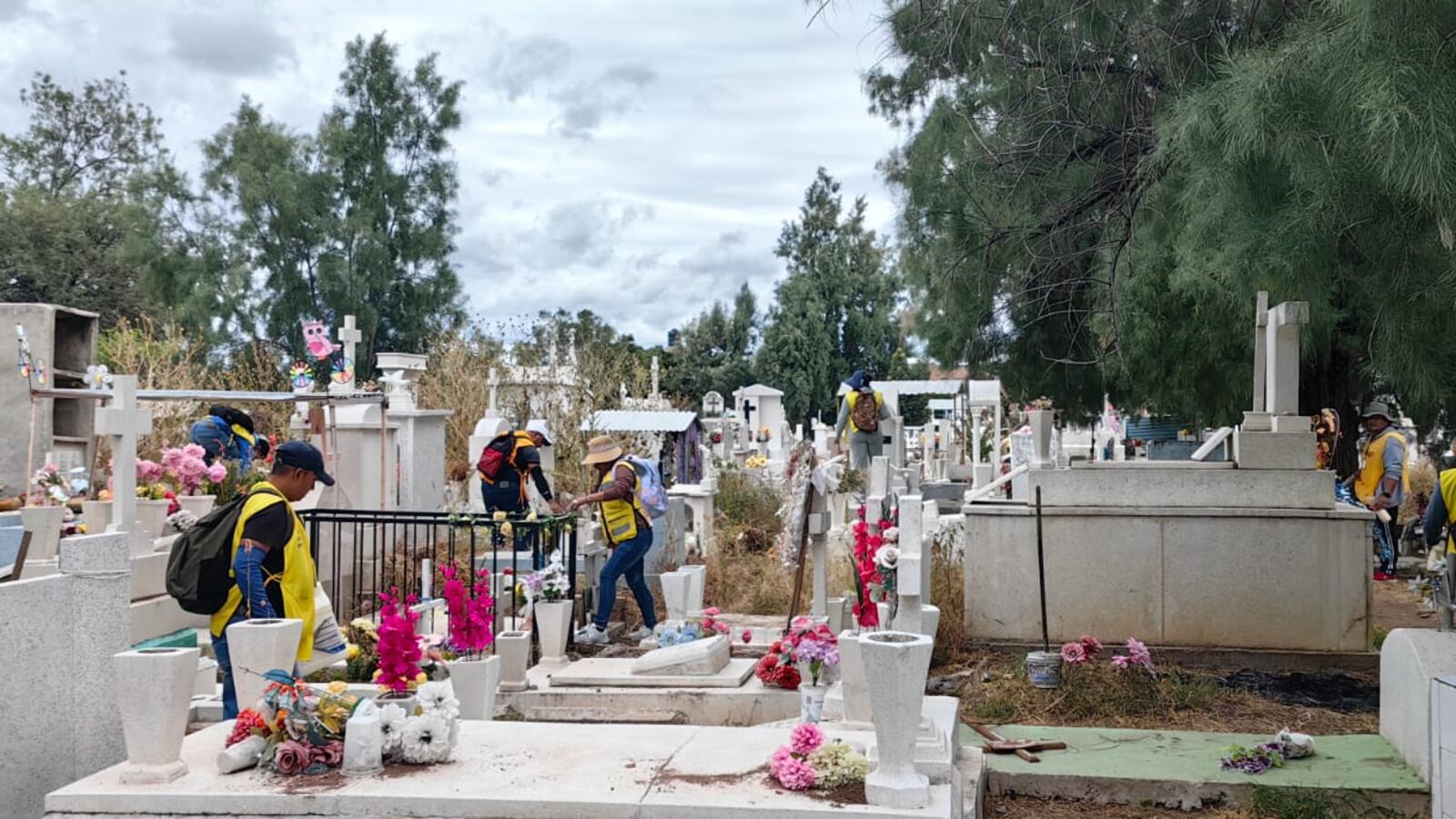 Los panteones pueden convertirse en foco de propagación del mosco del dengue.