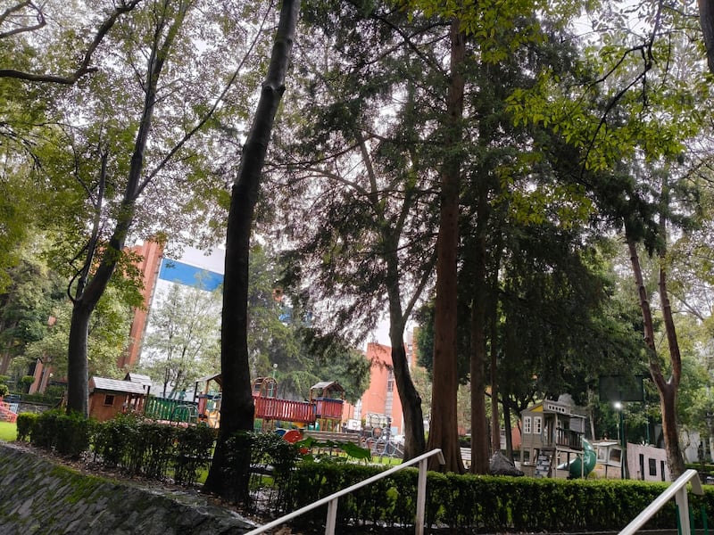 CDMX