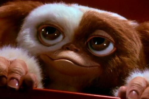 Chris Columbus habla de la tercera parte de Gremlins