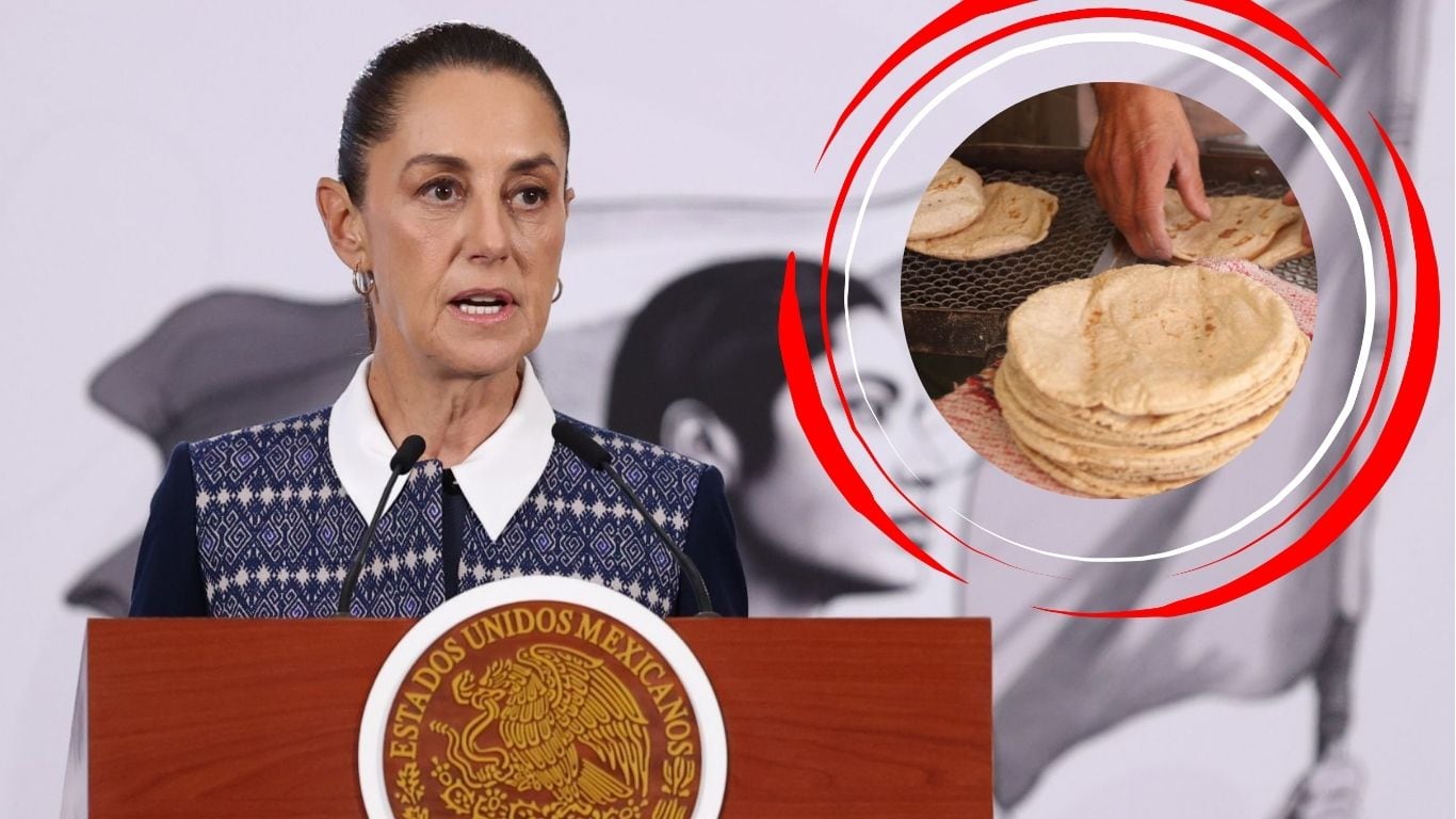 Sheinbaum aclara el precio de la tortilla: ¿subirá o no en México?