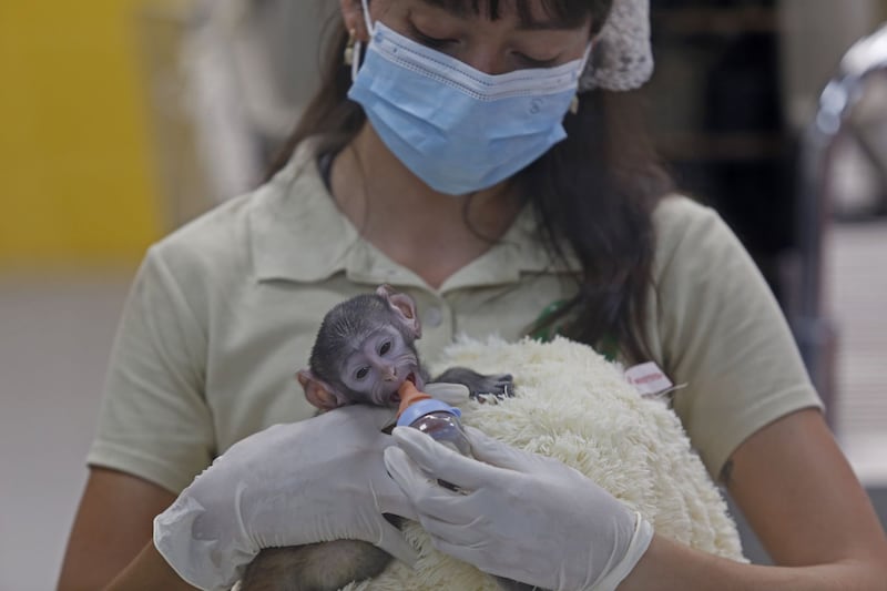 CUARTOSCURO/ FERNANDO CARRANZA GARCIA