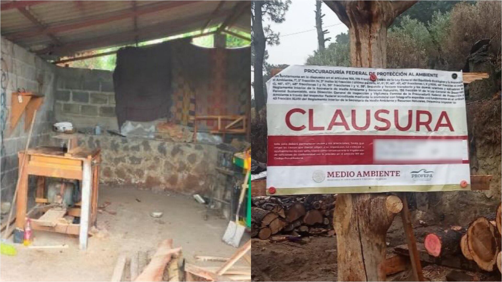 Desmantelan dos aserraderos de tala ilegal en Tlalpan