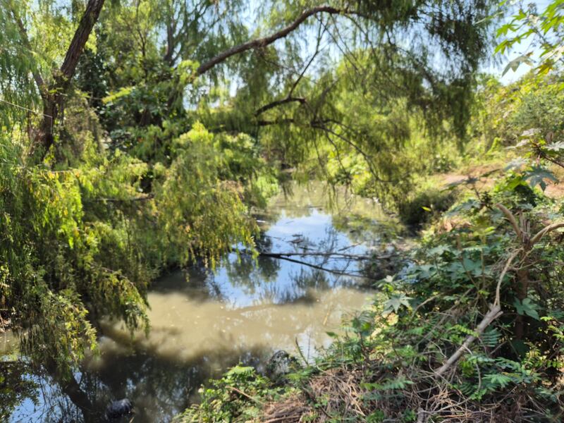La limpieza se realizó en una sección del Canal de Las Ladrilleras de la Delegación de Mojoneras. CORTESÍA/ GOBIERNO DE JALISCO