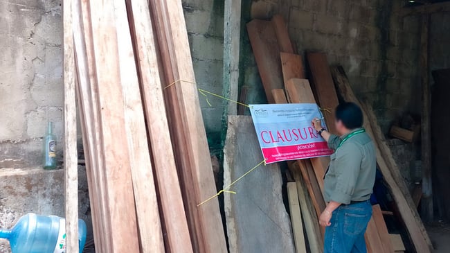 Profepa clausura centro de almacenamiento de madera en Veracruz