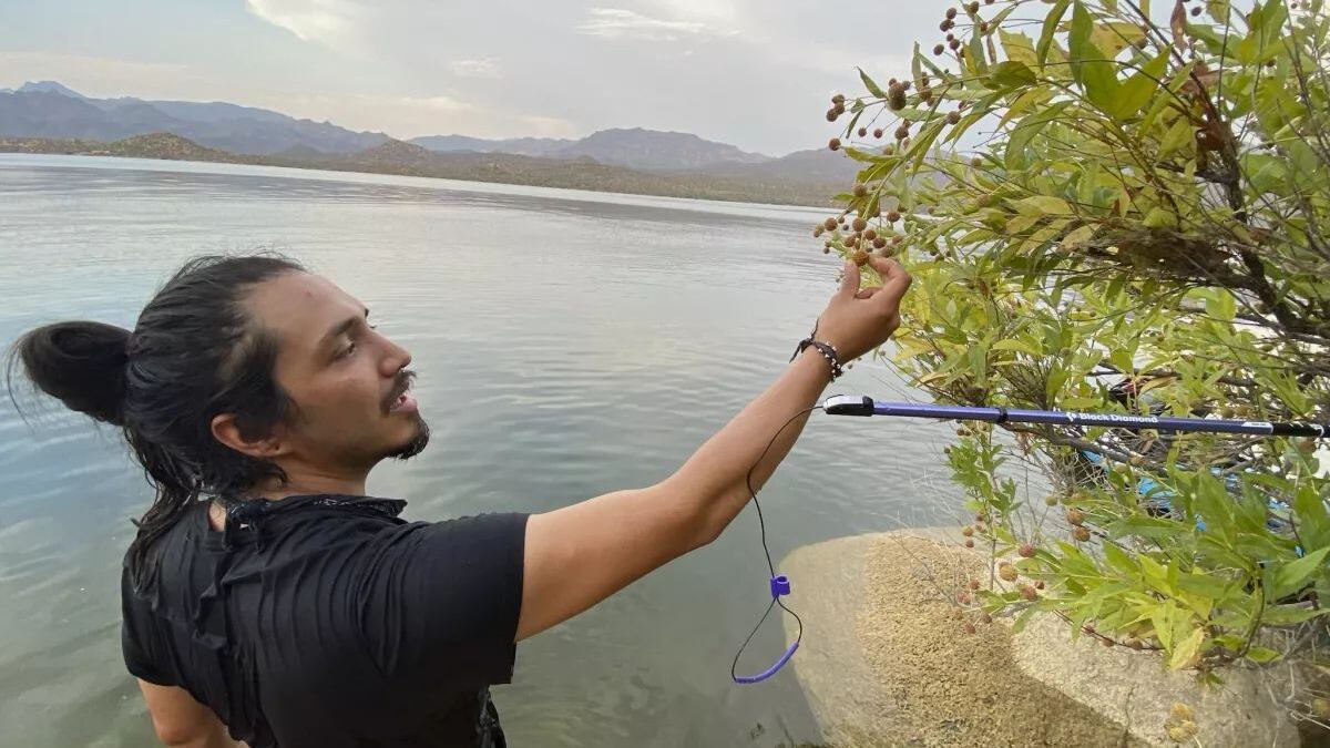 Gabriel Trujillo tenía cinco años recorriendo México y estaba por Sonora recolectando muestras de plantas endémicas.