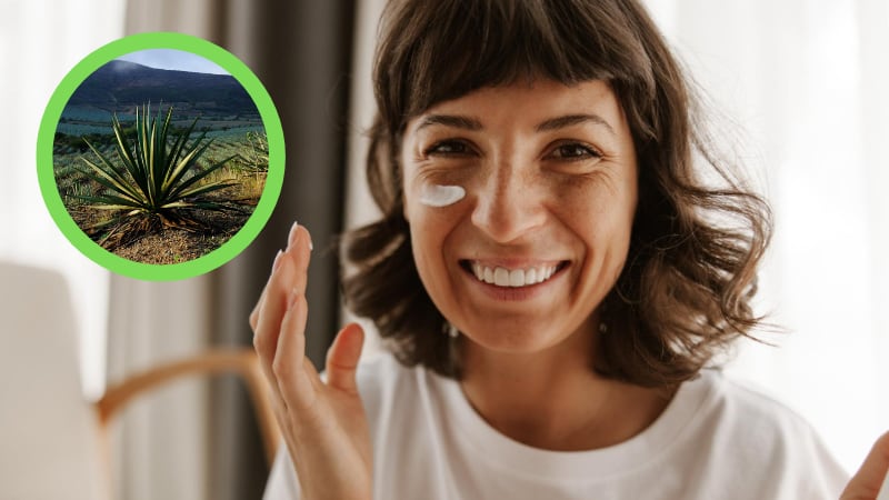 Esta planta endémica de México ha demostrado estar llena de propiedades, mismas que se han aprovechado en mejorar la salud