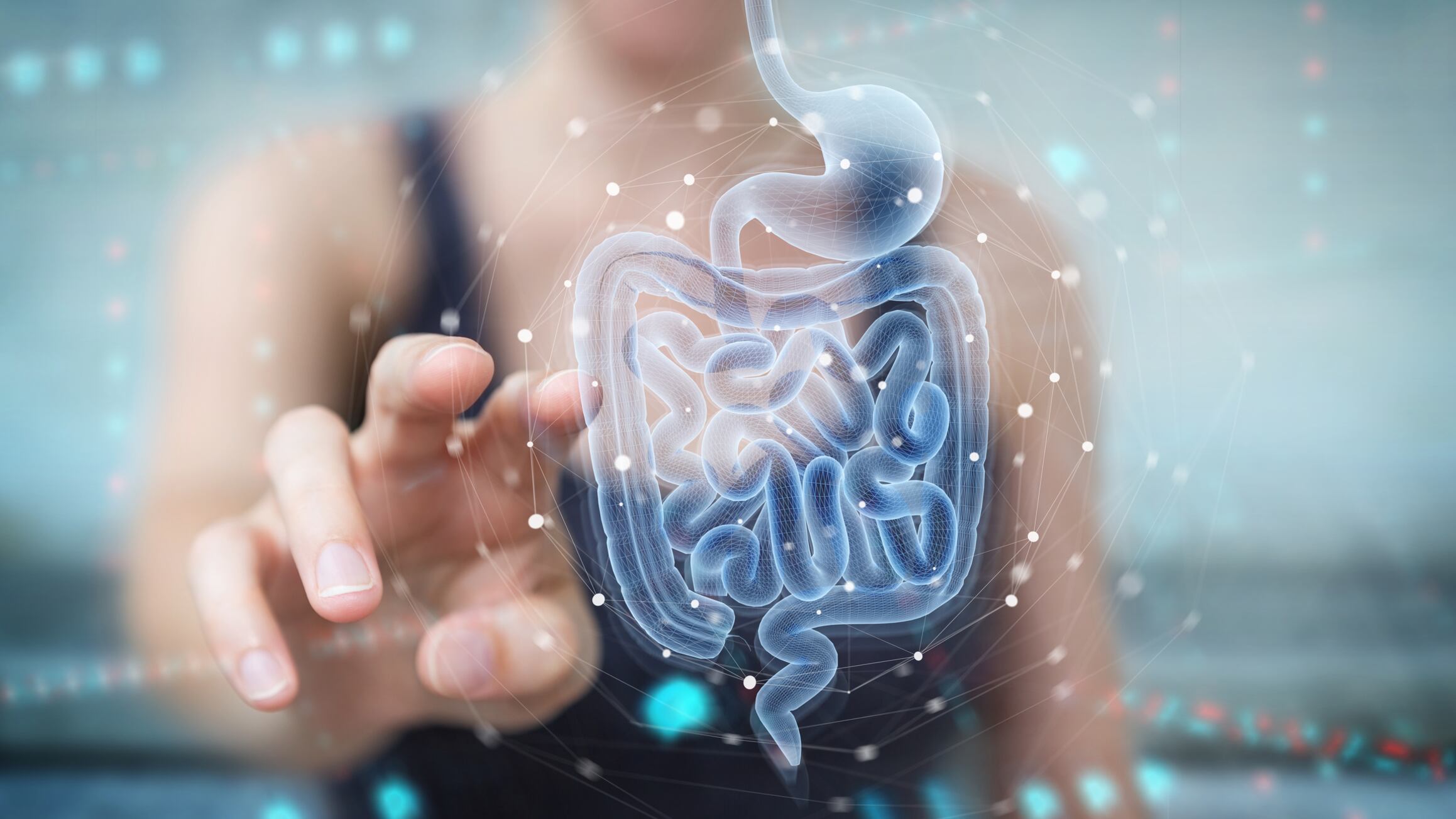 Desde alimentos fermentados hasta suplementos encapsulados, descubre cómo estos microorganismos pueden fortalecer tu aparato digestivo y potenciar tu bienestar