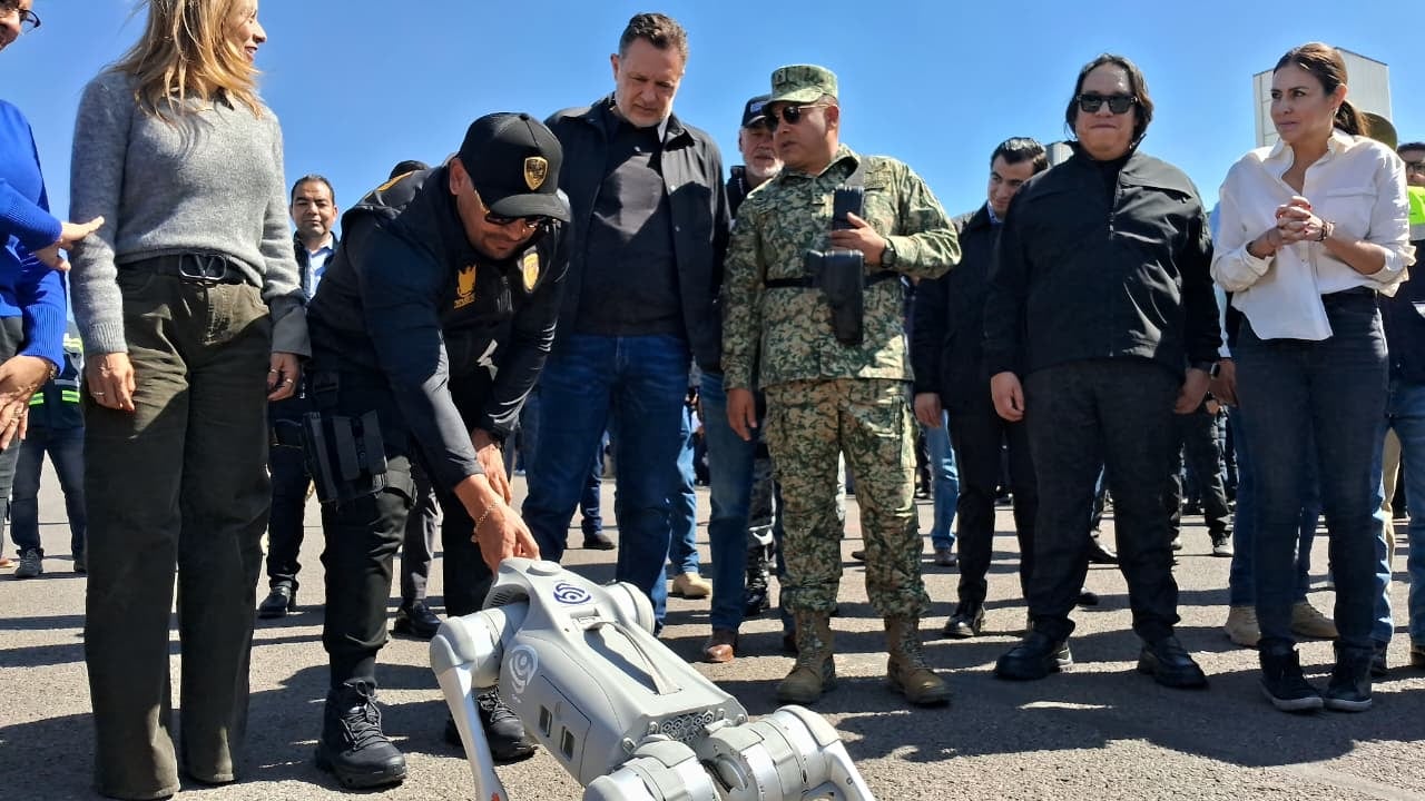 Guardián Inteligente.
