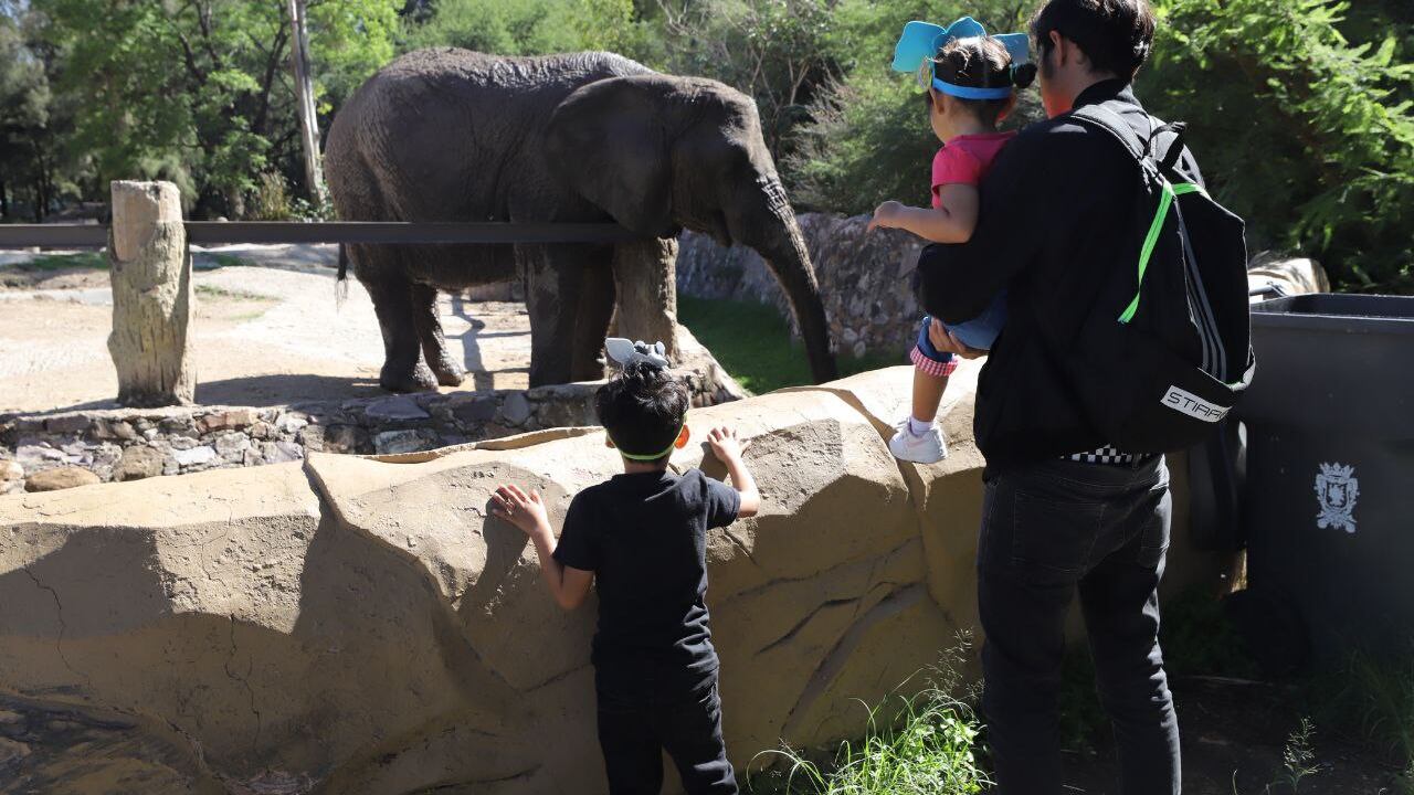 “La ciudad debe ser de todos”; gratuidad en parques los domingos dispara visitas en León.