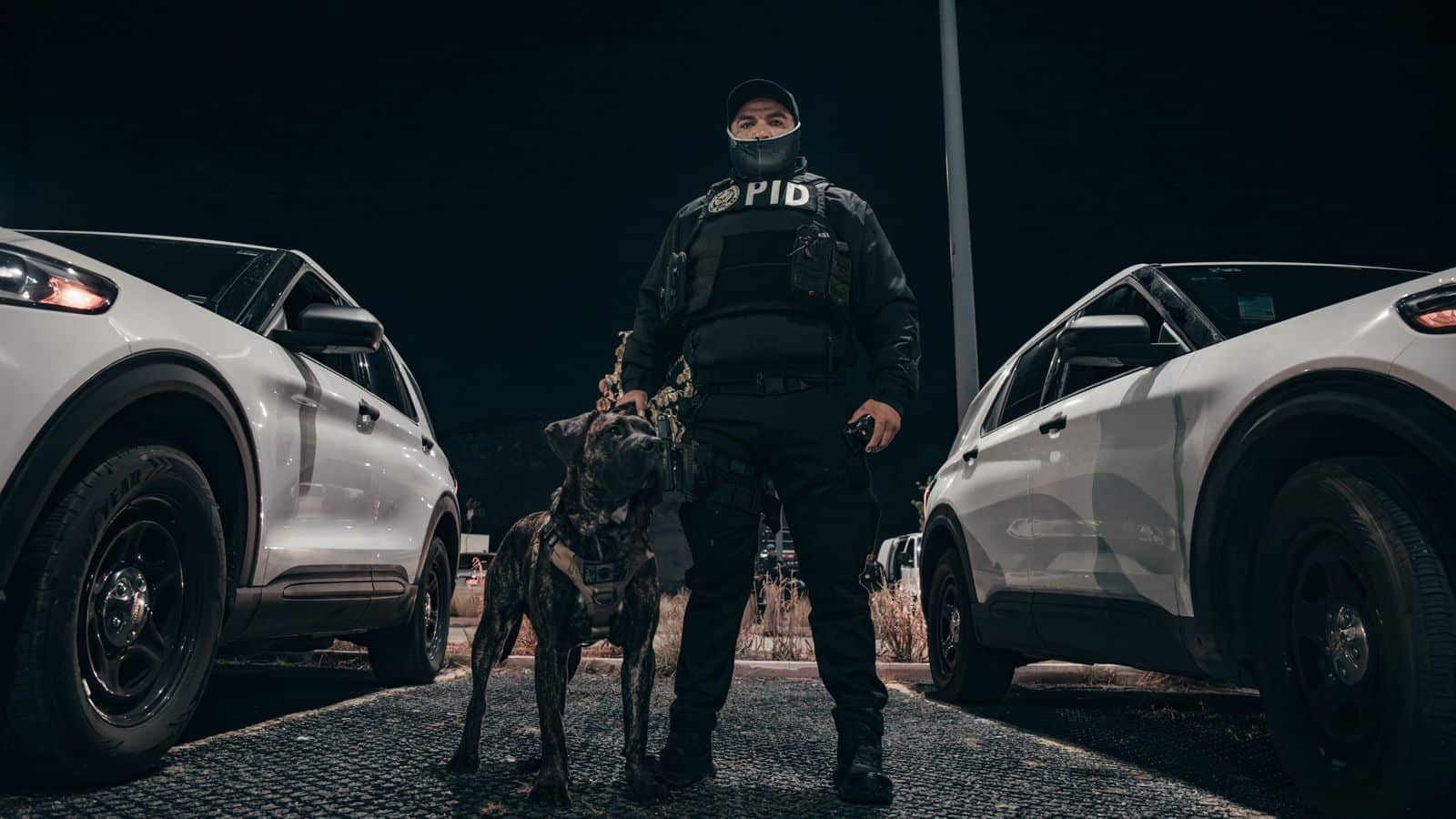 Sinergia por Querétaro muestra resultados: 1,700 cateos y 866 detenidos