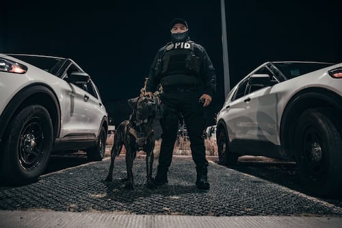 Sinergia por Querétaro muestra resultados: 1,700 cateos y 866 detenidos