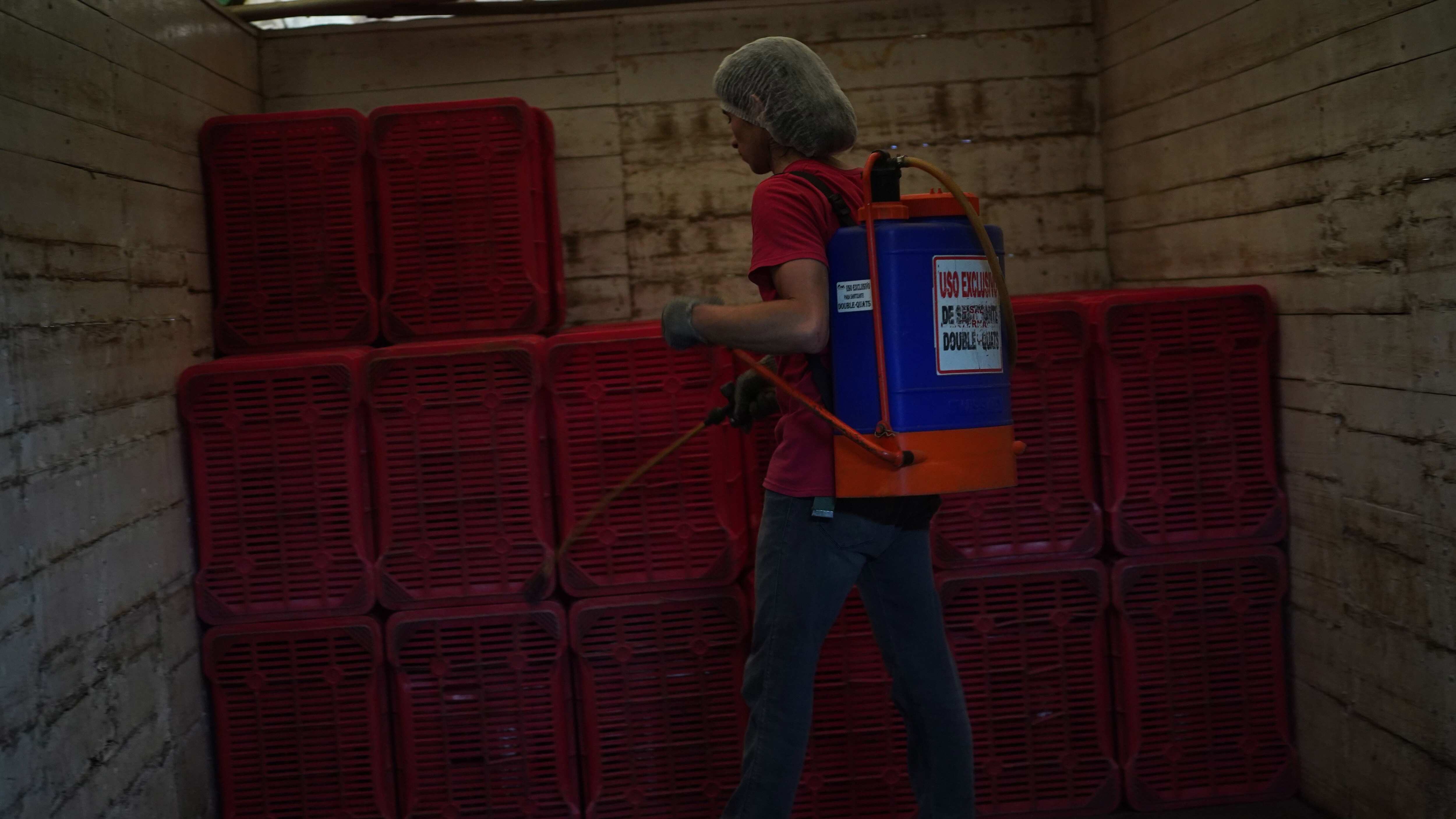 El año pasado se crearon alrededor de 100 mil puestos laborales en el estado.