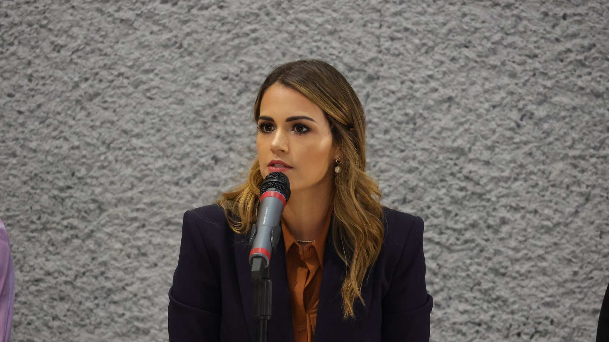 De la Garza señaló que previo a su encuentro con el ejecutivo tienen que elaborar la lista de temas pendientes.