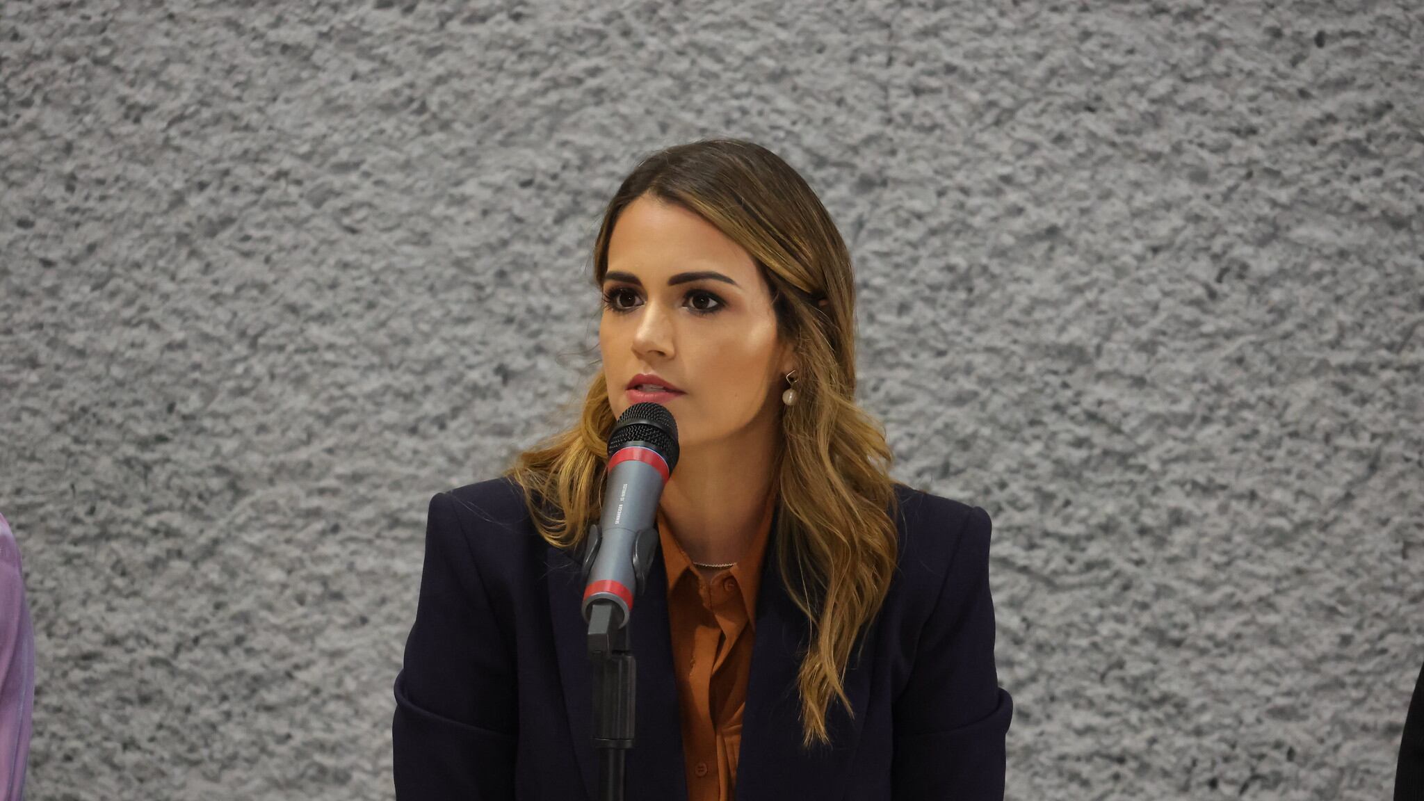 De la Garza señaló que previo a su encuentro con el ejecutivo tienen que elaborar la lista de temas pendientes.