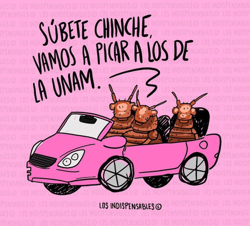 Memes por plaga de chinches en facultades de la UNAM