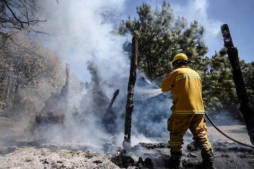 Jalisco se prepara para el estiaje con hasta dos mil combatientes contra incendios forestales