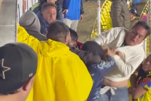 ¿Frustrados por la crisis? Aficionados del América se agarran a golpes en el Cd. de los Deportes