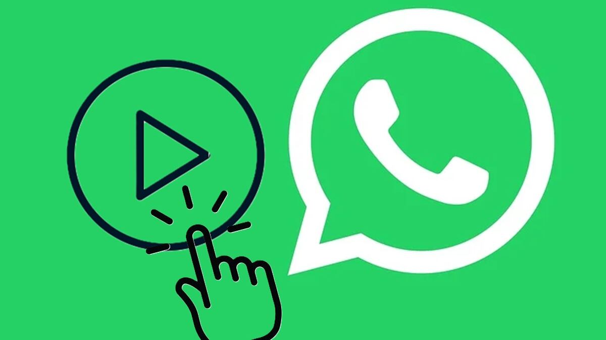 WhatsApp Videos