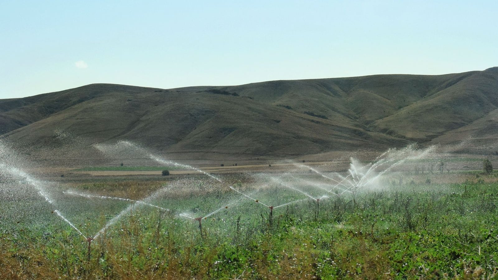 Sector agropecuario consume hasta 70% del agua