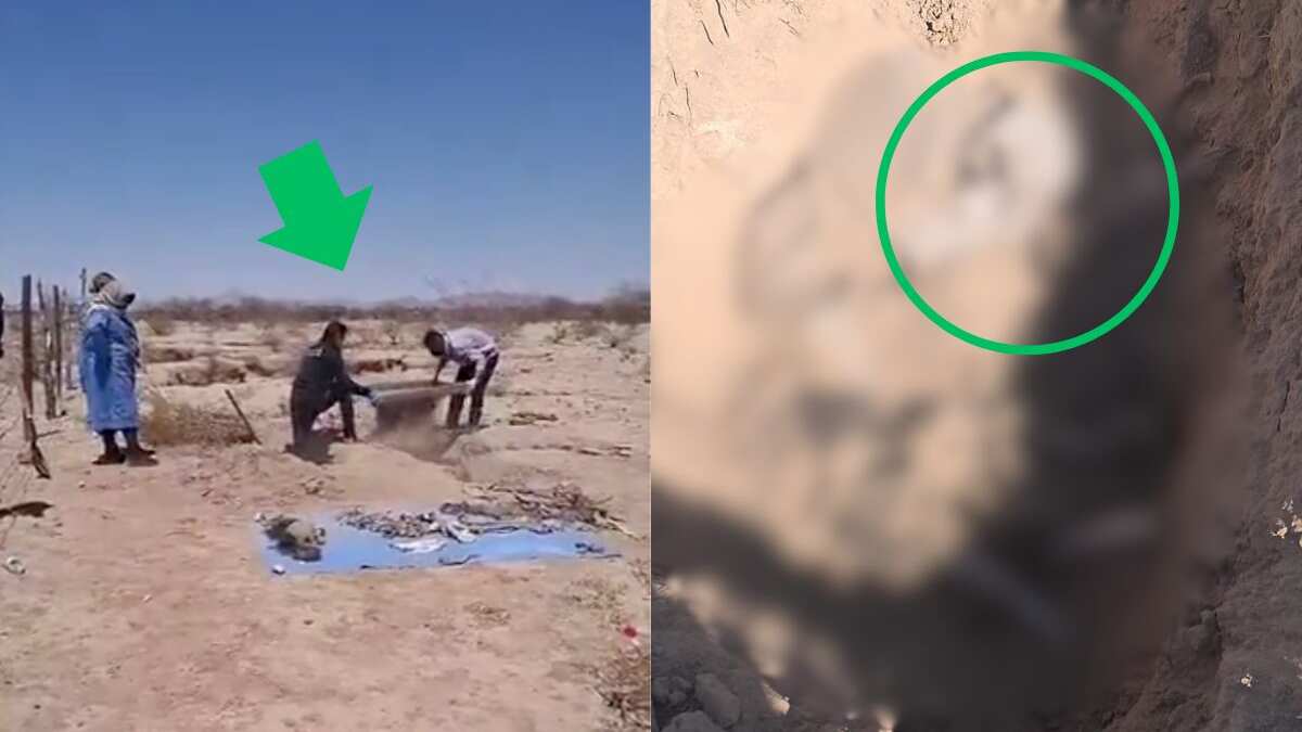 Madres buscadoras localizan fosa clandestina con posibles restos humanos en Altar, Sonora
