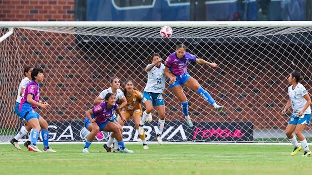 gallos femenil