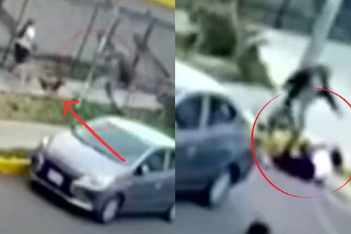 Sujeto patea brutalmente a una mujer que paseaba a sus perros en Coyoacán