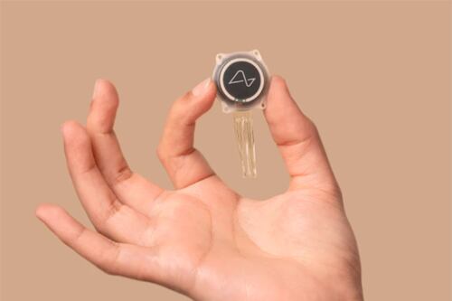 ¿Qué opinan los científicos del chip cerebral Neuralink de Elon Musk?