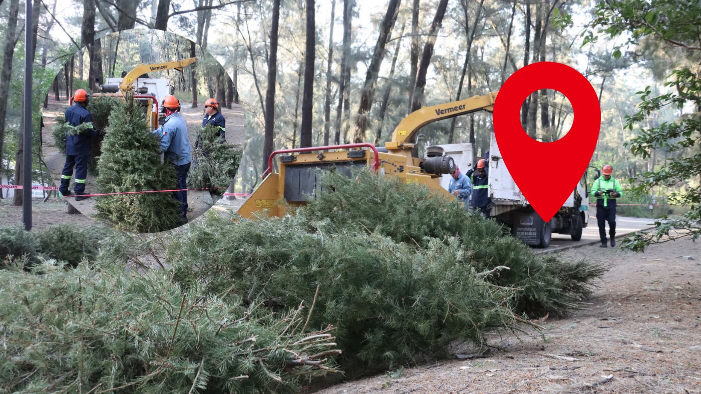 CORTESÍA/ GOBIERNO DE JALISCO/ ESPECIAL/ CANVA